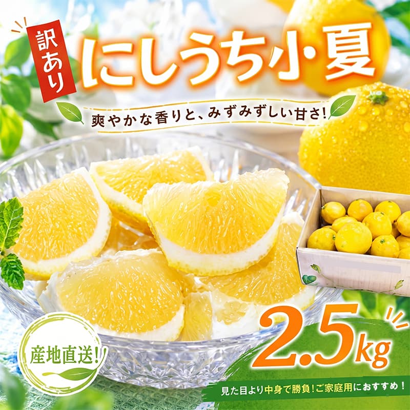 訳あり 室戸 小夏 2.5kg | 人気 柑橘 フルーツ かんきつ こなつ みかん ニューサマーオレンジ 日向夏 国産 果物 くだもの 期間限定 先行予約 先行受付 数量限定 旬 ワケアリ ご家庭用