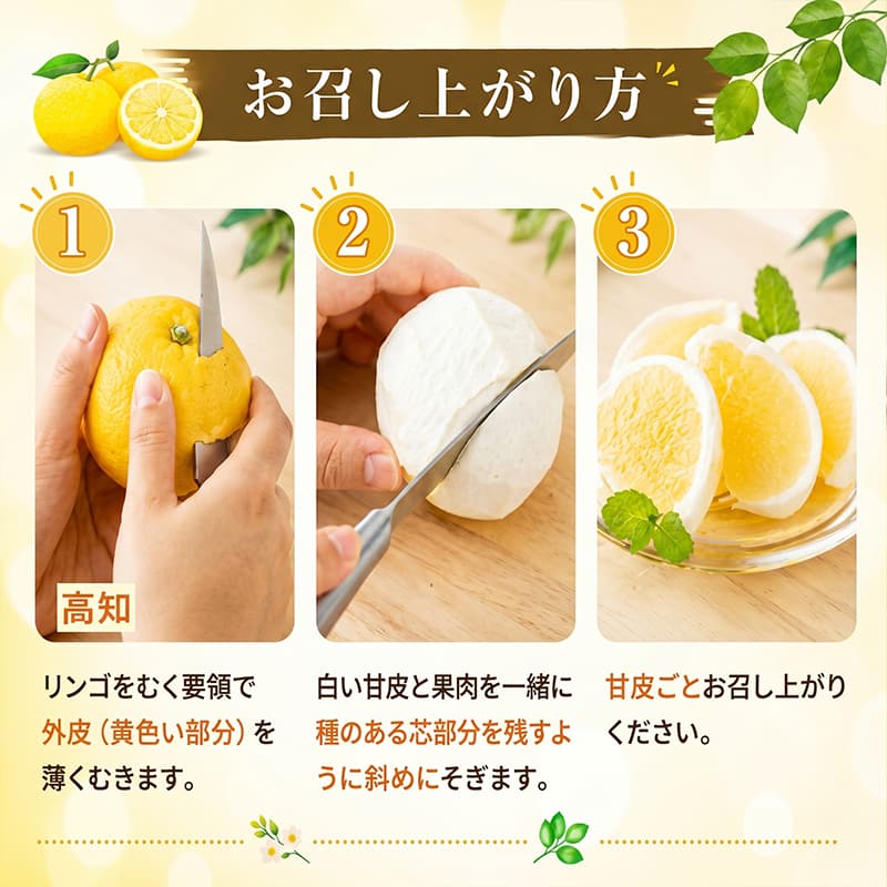 訳あり 室戸 小夏 2.5kg | 人気 柑橘 フルーツ かんきつ こなつ みかん ニューサマーオレンジ 日向夏 国産 果物 くだもの 期間限定 先行予約 先行受付 数量限定 旬 ワケアリ ご家庭用