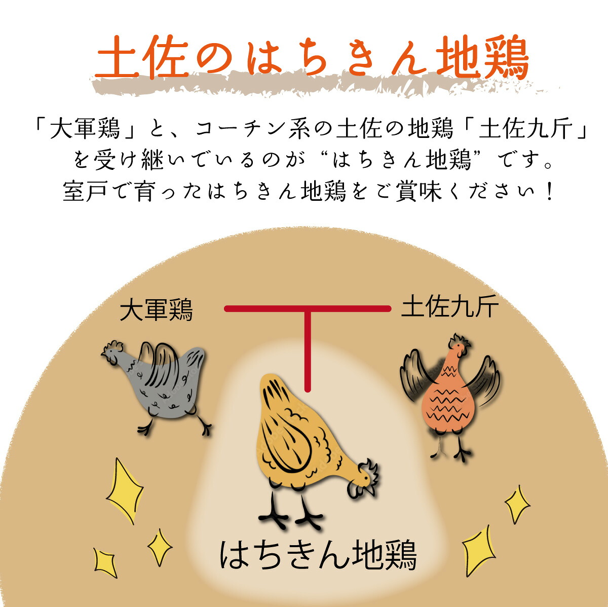 土佐の地鶏『はちきん地鶏』むね肉２ｋｇ バーベキュー BBQ キャンプ キャンプ飯 焼肉 焼き肉 低カロリー 高タンパク 高たんぱく