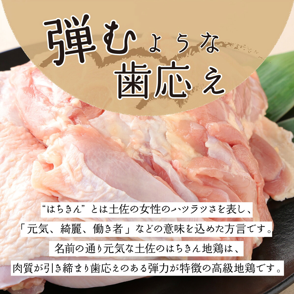 鶏肉 しゃぶしゃぶ 土佐はちきん地鶏 鶏しゃぶ 4人前 鶏鍋 地鶏 ブランド 国産 とりにく 鳥肉 鶏ロース もも肉 むね肉 つくね 鍋用 上質鶏肉 ごちそう 塩だし 鍋だし 冷凍 簡単 便利 贈り物