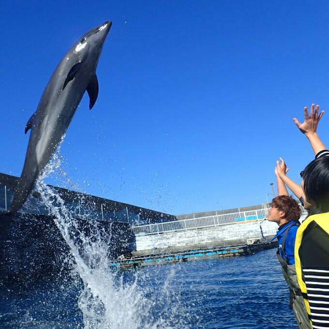 浅瀬ふれあい体験２名（５歳以上小学生）