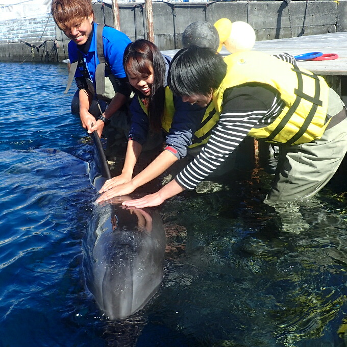 浅瀬ふれあい体験3名(5歳以上小学生)