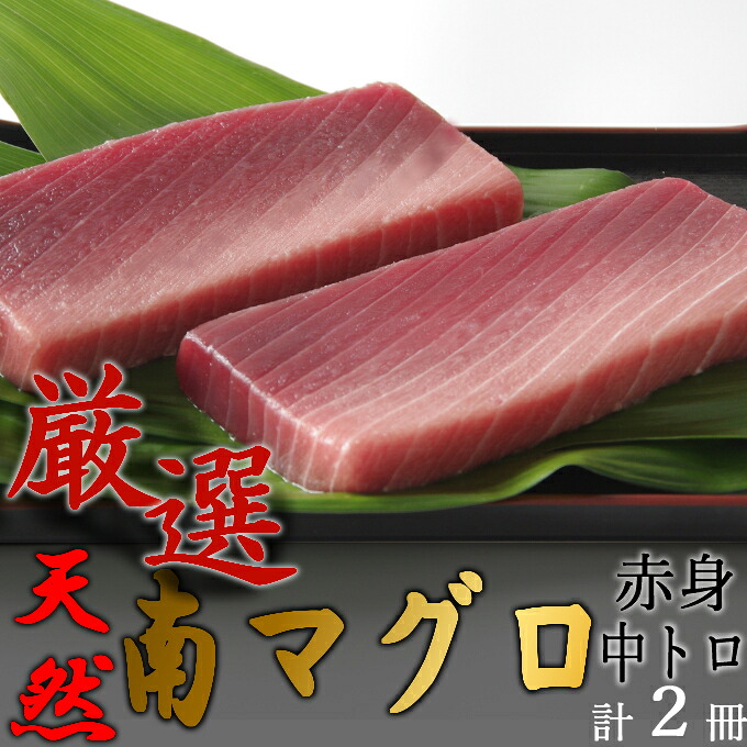 【中トロ】【赤身】天然南マグロ 中トロ１柵 赤身１柵【解凍書付】まぐろ 鮪 海鮮 冷凍 さしみ 刺身 父の日 高知 室戸 マグロ