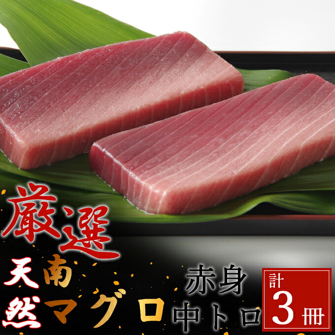 【中トロ】【赤身】天然南マグロ 中トロ２柵 赤身１柵【解凍書付】まぐろ 鮪 海鮮 冷凍 さしみ 刺身 父の日 高知 室戸 マグロ