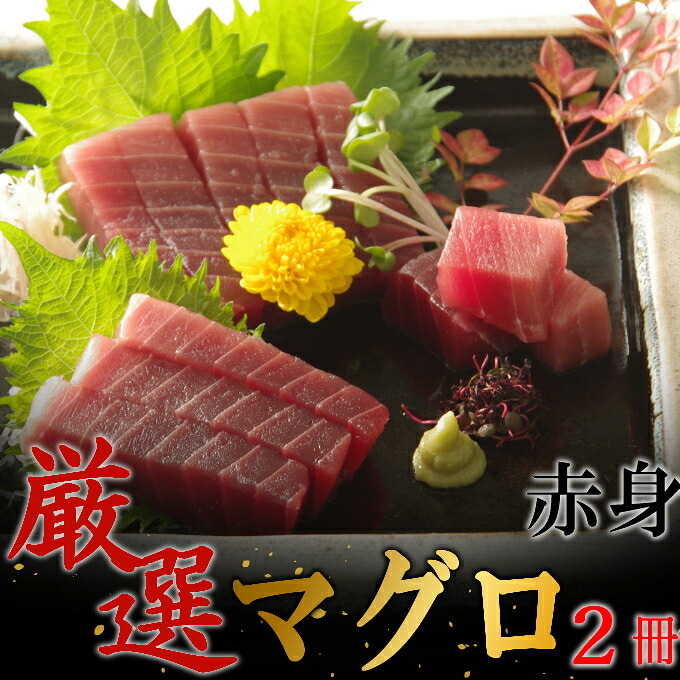 【赤身】天然南マグロ 赤身 ２柵【解凍書付】まぐろ 鮪 海鮮 冷凍 さしみ 刺身 父の日 高知 室戸 マグロ