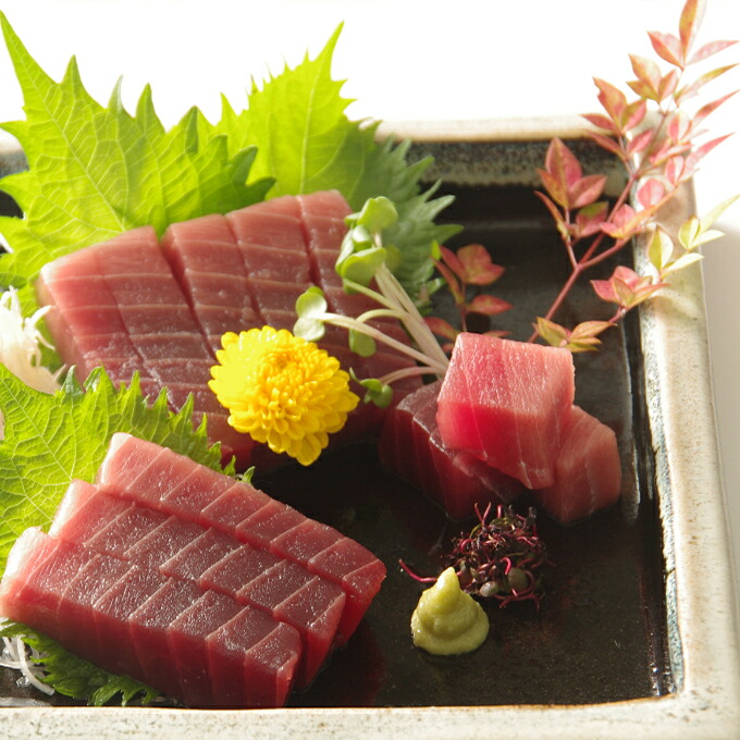 【赤身】天然南マグロ 赤身 ２柵【解凍書付】まぐろ 鮪 海鮮 冷凍 さしみ 刺身 父の日 高知 室戸 マグロ