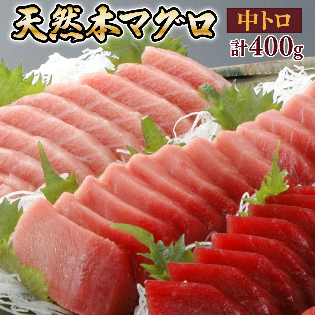 天然本マグロ 中トロ ２柵（４００ｇ）まぐろ 鮪 海鮮 冷凍 さしみ 刺身 父の日 高知 室戸 マグロ