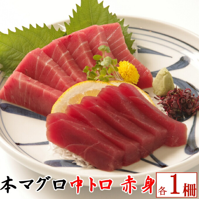 天然本マグロ 中トロ・赤身 各１柵 （計４００ｇ）まぐろ 鮪 海鮮 冷凍 さしみ 刺身 父の日 高知 室戸 マグロ