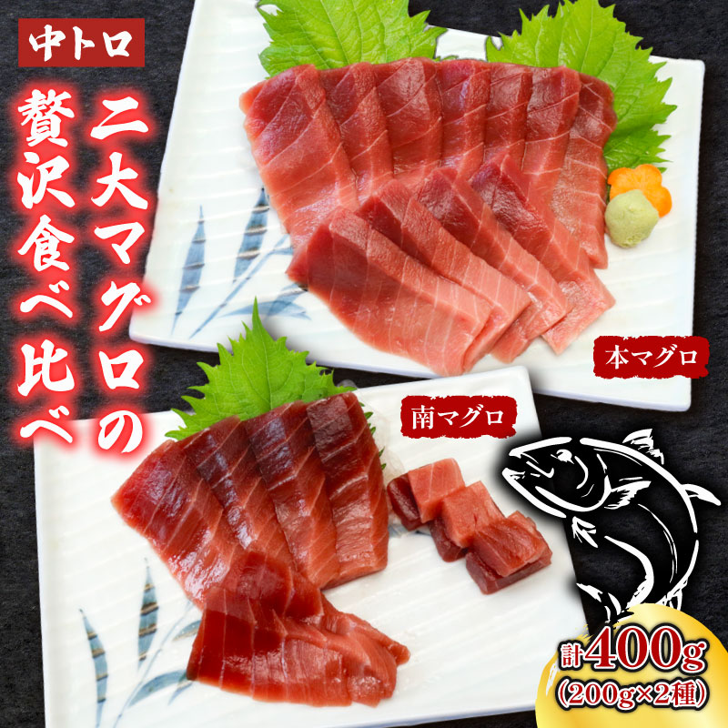 天然本マグロ 天然南マグロ 中トロ各１柵 （計４００ｇ） 食べ比べまぐろ 鮪 海鮮 冷凍 さしみ 刺身 父の日 高知 室戸 マグロ