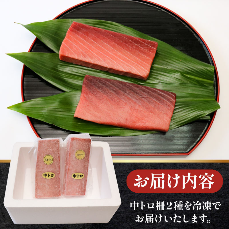 天然本マグロ 天然南マグロ 中トロ各１柵 （計４００ｇ） 食べ比べまぐろ 鮪 海鮮 冷凍 さしみ 刺身 父の日 高知 室戸 マグロ