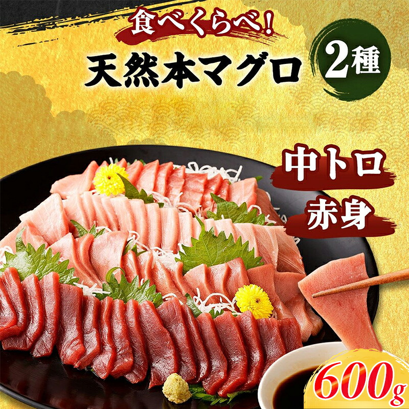 船元が直送! 厳選 天然 本マグロ 中トロ・赤身 食べ比べセット 約600g | 中トロ 約200g 赤身 約400g | 本鮪 本まぐろ クロマグロ 魚 惣菜 まぐろ 訳あり 高知県 室戸市 ge004