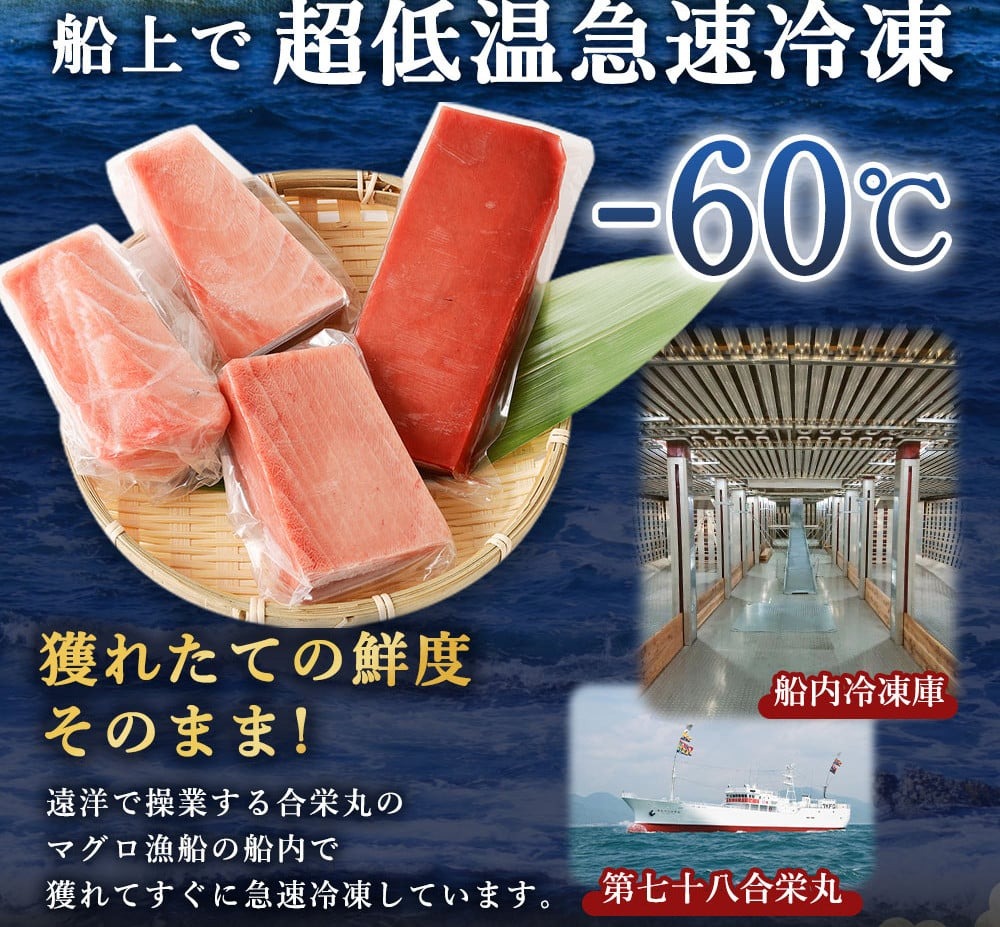 船元が直送! 厳選 天然 本マグロ 中トロ・赤身 食べ比べセット 約600g | 中トロ 約200g 赤身 約400g | 本鮪 本まぐろ クロマグロ 魚 惣菜 まぐろ 訳あり 高知県 室戸市 ge004