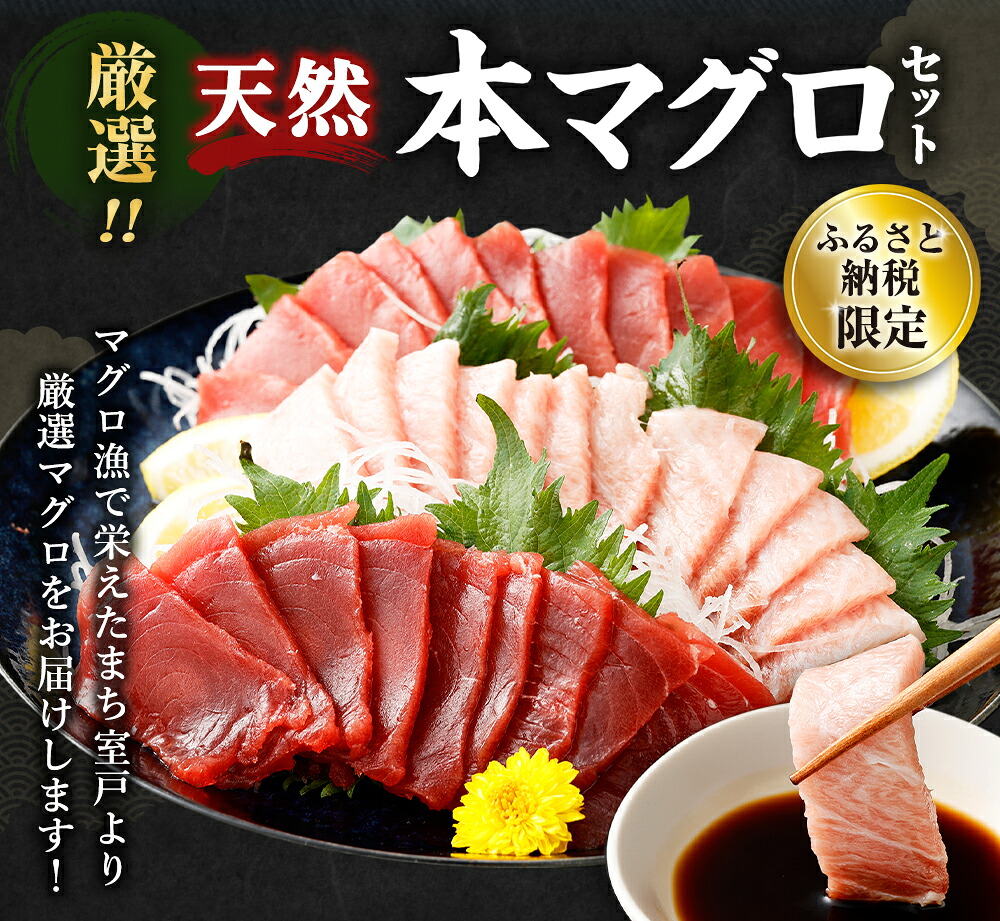 船元が直送! 厳選 天然 本マグロ 中トロ・赤身 食べ比べセット 約600g | 中トロ 約200g 赤身 約400g | 本鮪 本まぐろ クロマグロ 魚 惣菜 まぐろ 訳あり 高知県 室戸市 ge004
