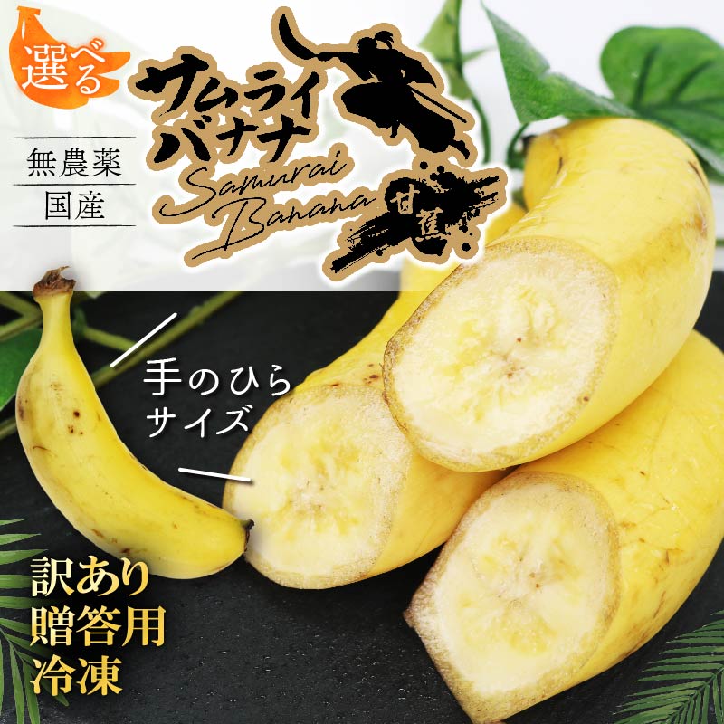 高知県産 侍バナナ｜無農薬 国産 農家直送 手のひらサイズ 3本 贈答用 バナナ フルーツ 果物 ギフト 冷凍フルーツ バナナ サムライ スムージー ふるさと納税