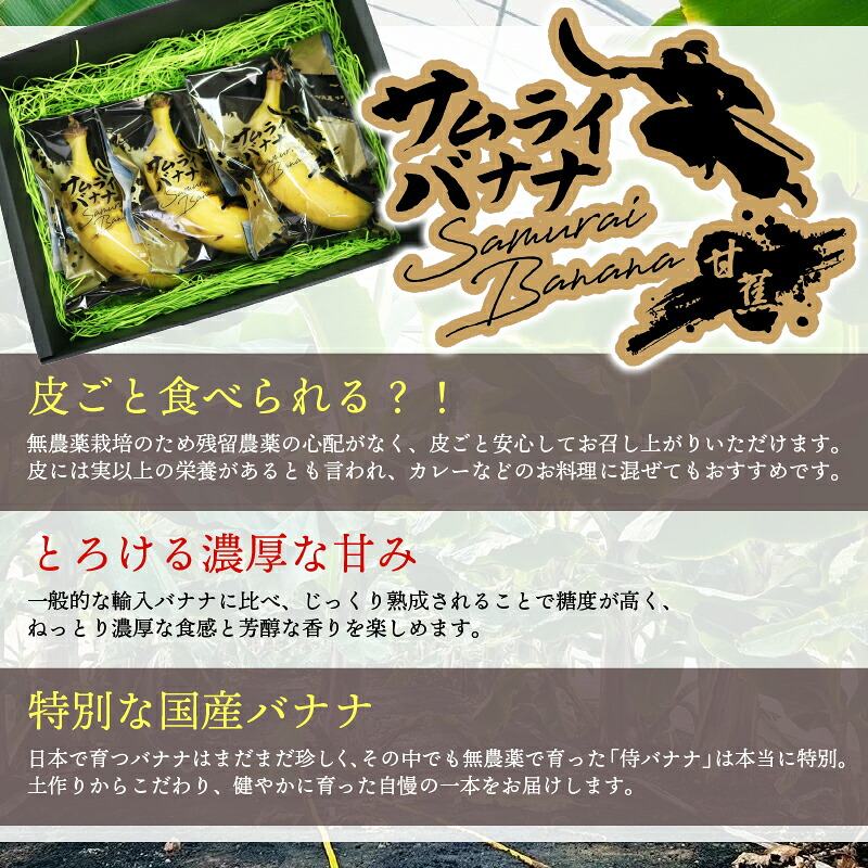 高知県産 侍バナナ｜無農薬 国産 農家直送 手のひらサイズ 3本 贈答用 バナナ フルーツ 果物 ギフト 冷凍フルーツ バナナ サムライ スムージー ふるさと納税