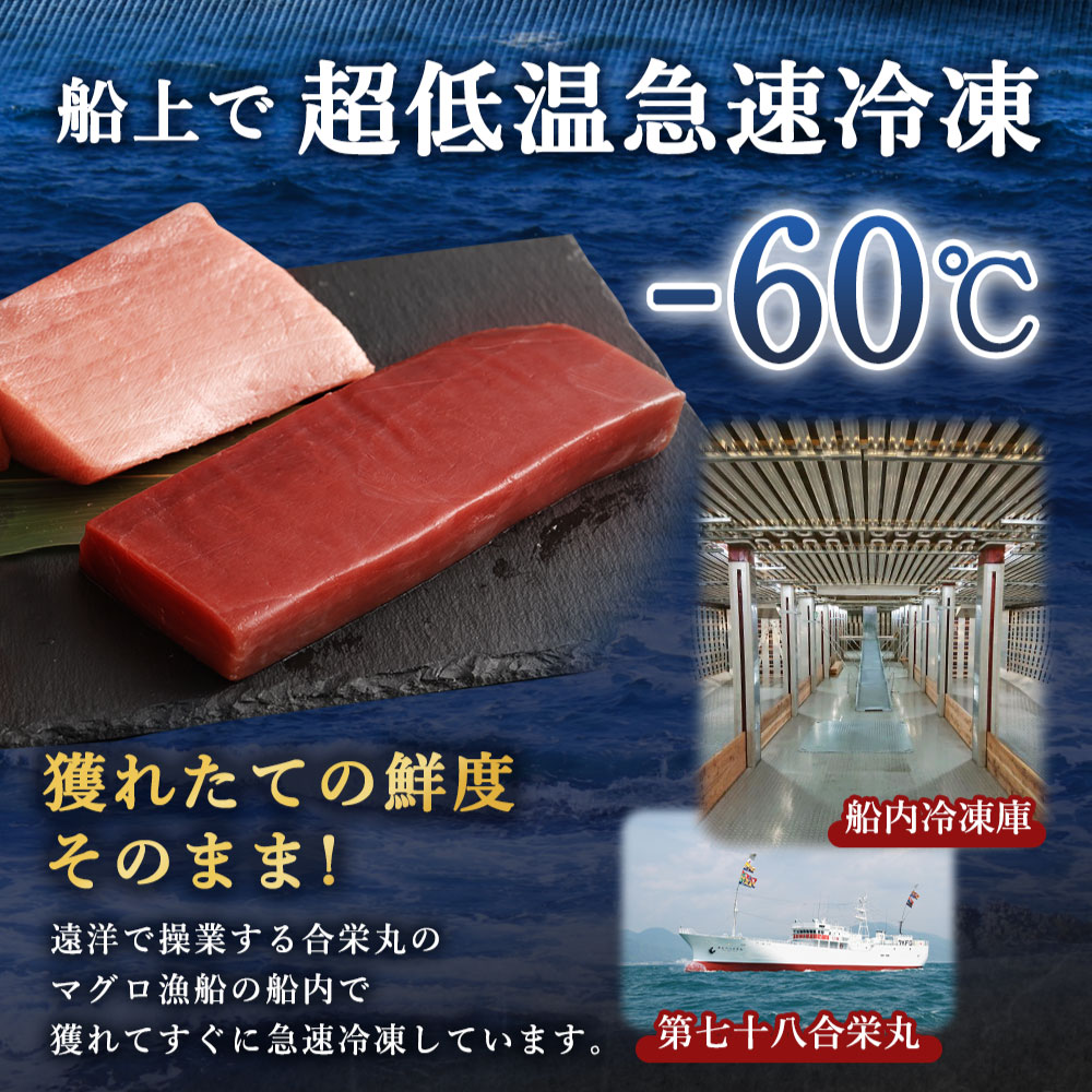 厳選天然本マグロ大トロ・赤身食べきりセット【約４００ｇ】まぐろ 海鮮 冷凍 刺身 鮪 父の日 さしみ マグロ 高知県 室戸市 ge011
