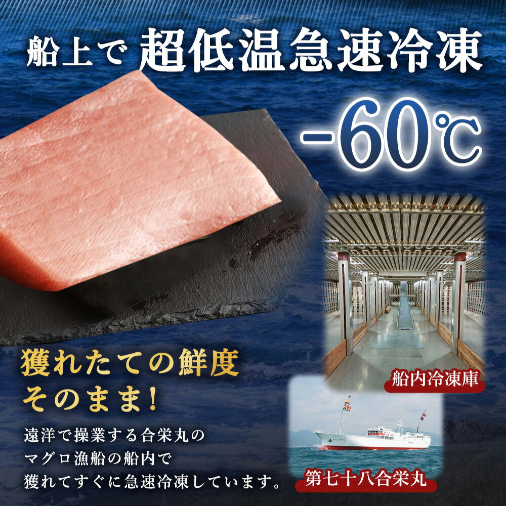 厳選 天然 本まぐろ 大トロ たっぷり 500g 限定 マグロ 鮪おおとろ 本鮪  魚貝 魚 魚介魚 海鮮 刺し身 刺身 さしみ 漬け丼 漬け 海鮮丼 父の日 高知県 室戸市 ge013