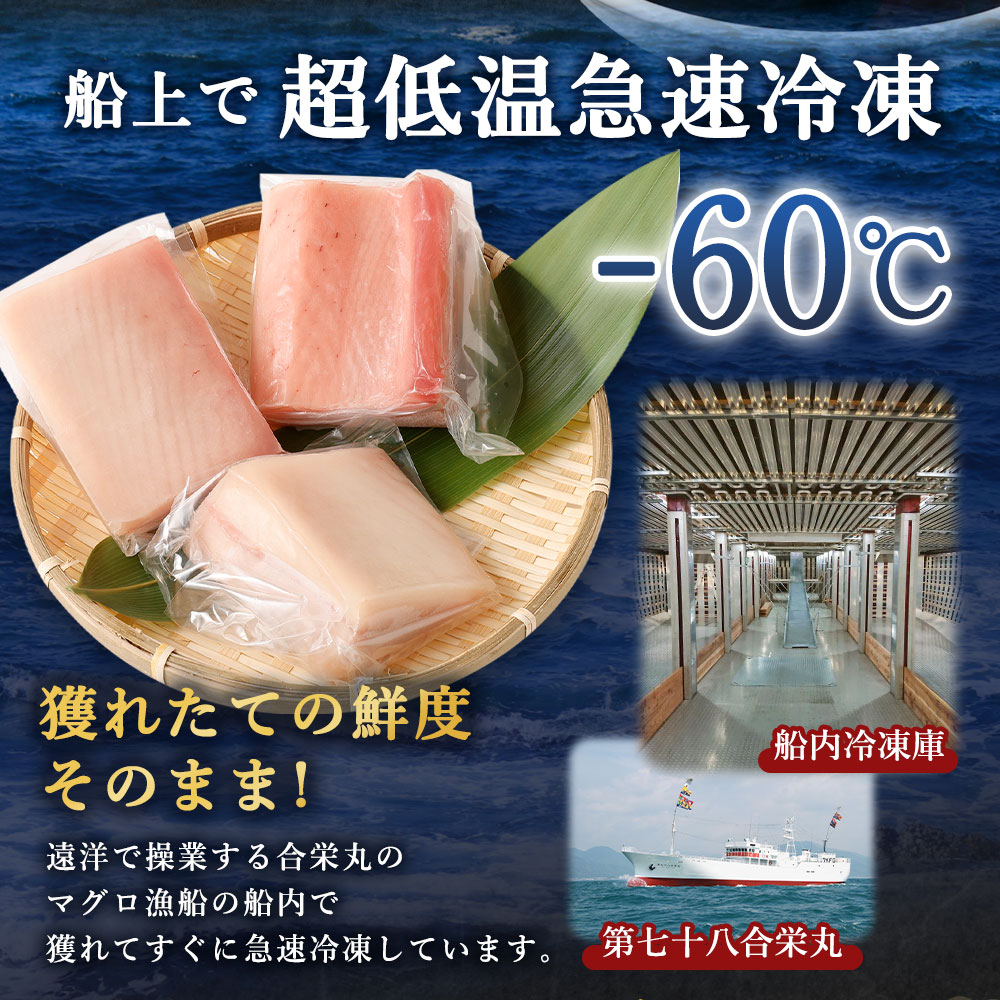 【訳あり】 厳選 トロびんちょうマグロ 約500g とろびんちょう びんながまぐろ びんとろ ビントロ 訳あり 冷凍 おかず料理 魚 魚貝 魚介 惣菜 魚貝 海鮮 海鮮丼 高知県 室戸市 ge014