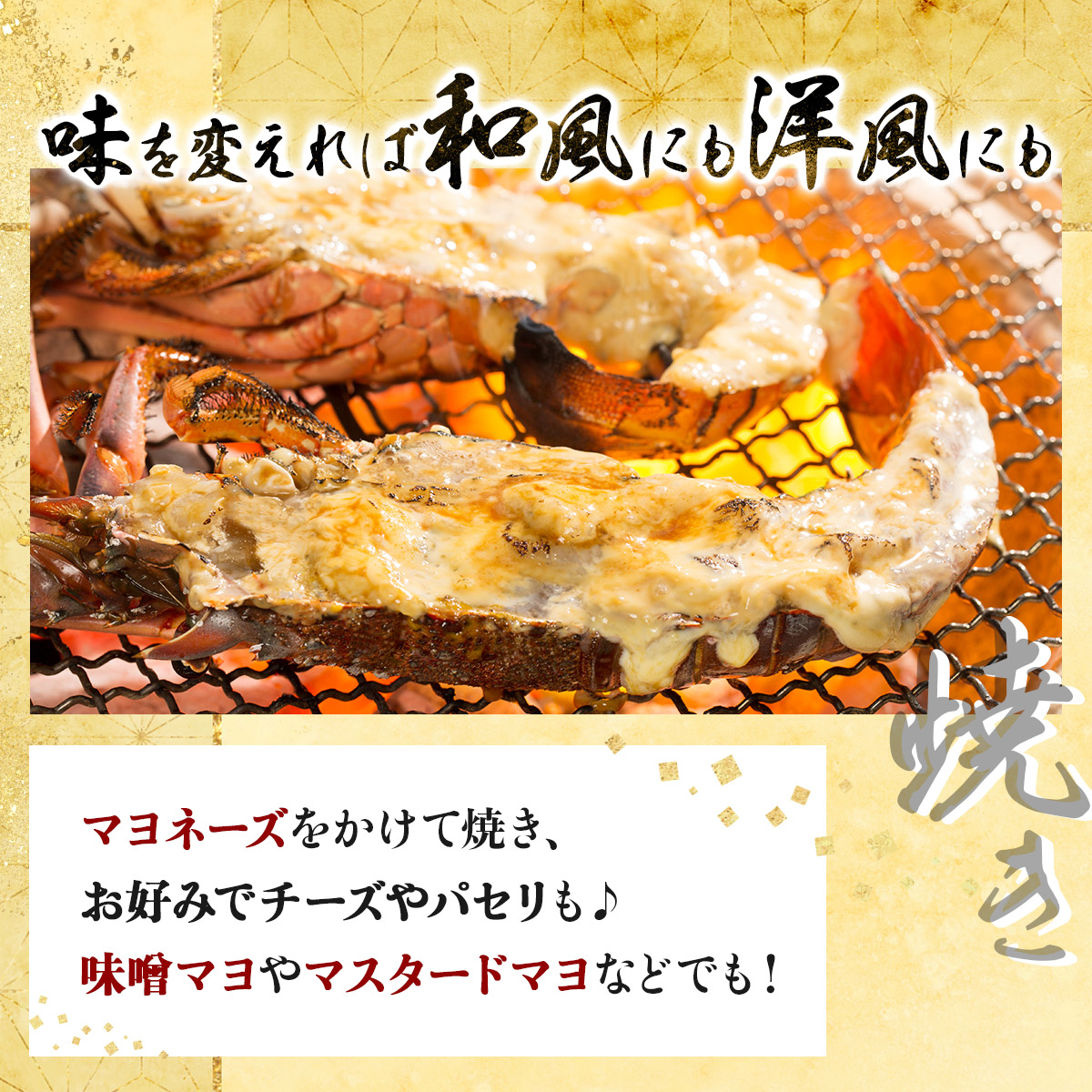 活き伊勢海老 2~5尾 1kg 伊勢海老 海老 エビ 魚介類 えび魚介 刺身 産地直送 新鮮 海鮮 高知県 室戸市