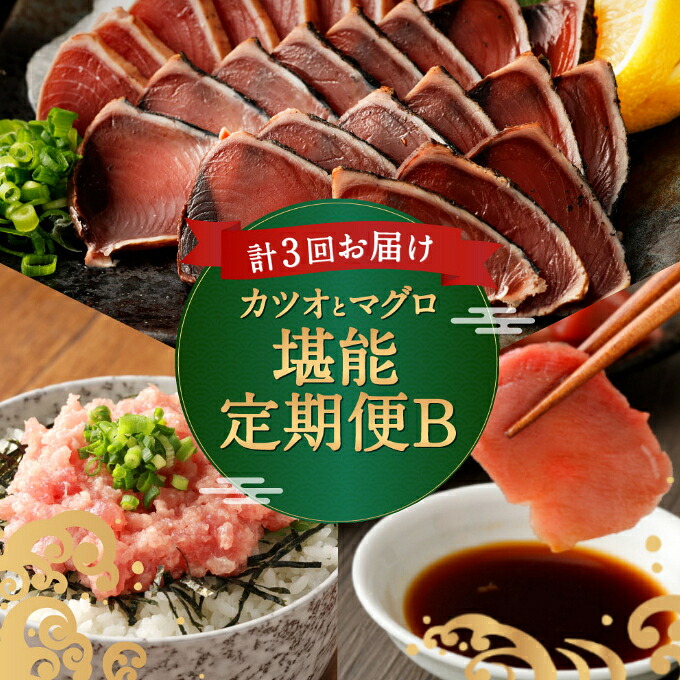 【 定期便 3回 】マグロ と カツオ の 堪能定期便 B | 海鮮 鮪 鰹 ネギトロ 刺身 海産物 魚介類 鮪 まぐろたたき 魚 海鮮 冷凍 タカシン 定期便 海鮮定期便 人気定期便 高知県 室戸市 tk013