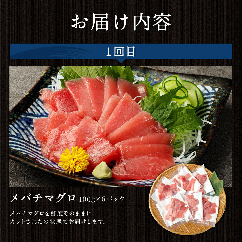 【 定期便 3回 】マグロ と カツオ の 堪能定期便 B | 海鮮 鮪 鰹 ネギトロ 刺身 海産物 魚介類 鮪 まぐろたたき 魚 海鮮 冷凍 タカシン 定期便 海鮮定期便 人気定期便 高知県 室戸市 tk013