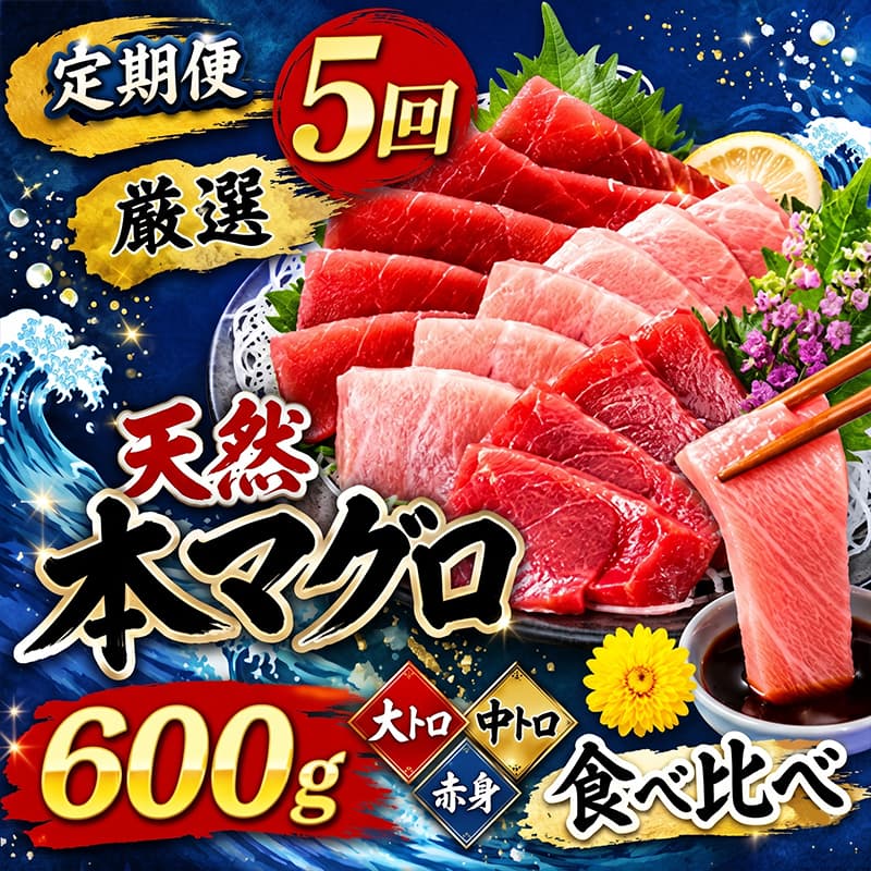 【 定期便 5回 】 厳選天然本マグロ 600g | 大トロ 中トロ 赤身 食べ比べ 刺身 刺し身 さしみ 海鮮丼 寿司 魚 ふるさと納税 限定 食べ比べ まぐろ 鮪 魚 魚介類 刺身 高知県 室戸市 ge009
