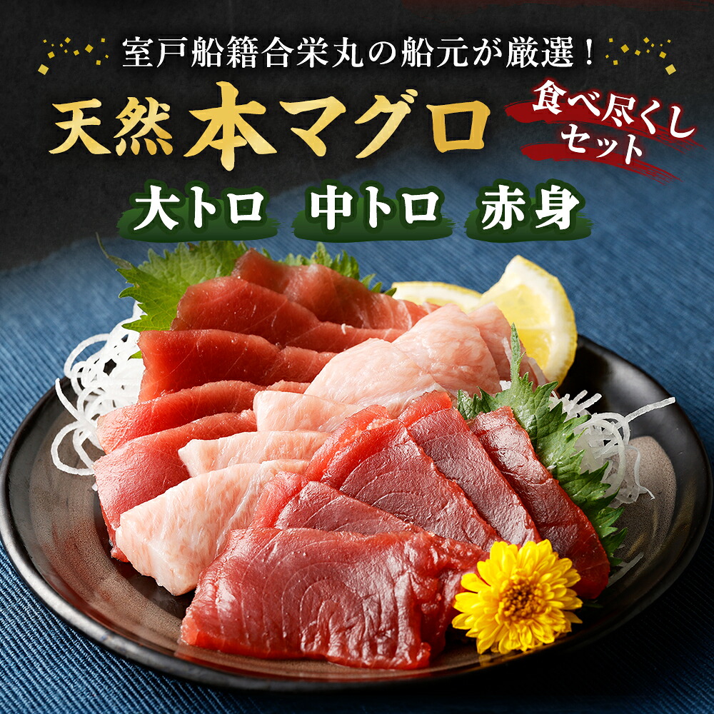 【 定期便 5回 】 厳選天然本マグロ 600g | 大トロ 中トロ 赤身 食べ比べ 刺身 刺し身 さしみ 海鮮丼 寿司 魚 ふるさと納税 限定 食べ比べ まぐろ 鮪 魚 魚介類 刺身 高知県 室戸市 ge009