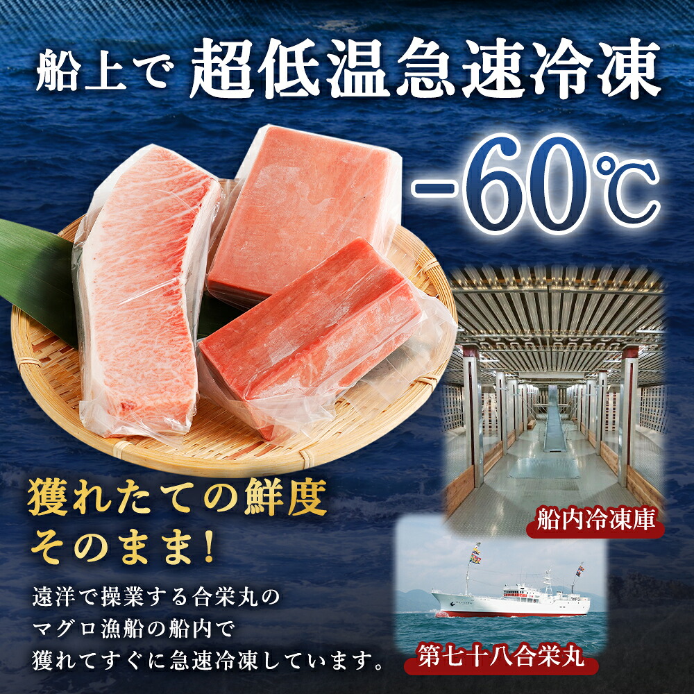 【 定期便 5回 】 厳選天然本マグロ 600g | 大トロ 中トロ 赤身 食べ比べ 刺身 刺し身 さしみ 海鮮丼 寿司 魚 ふるさと納税 限定 食べ比べ まぐろ 鮪 魚 魚介類 刺身 高知県 室戸市 ge009