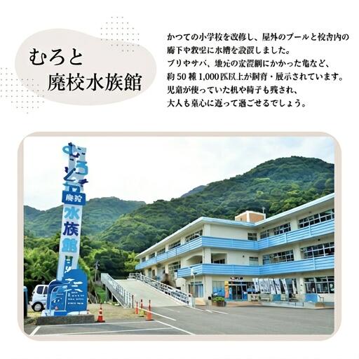 まぐろ コロッケ 10個 セット マグロ 胃袋 本鮪 希少 部位 揚げ物 惣菜 魚介 海鮮 国産マグロ 使用 手作り グルメ おかず おつまみ 冷凍 ギフト 贈答 家庭用 高知県室戸市