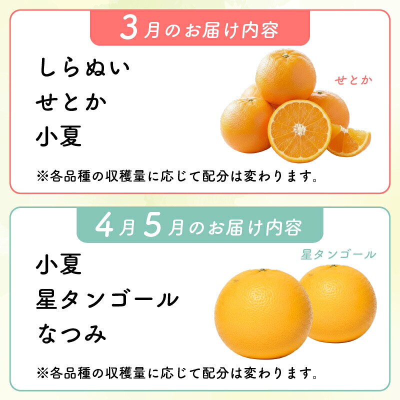【柑橘 詰め合わせ 5㎏ 訳あり】 旬 食べ比べ 2種以上 セット ミカン みかん 蜜柑 ポンカン ぽんかん せとか デコポン 不知火 しらぬい なつみ 小夏 フルーツ ふるーつ くだもの 果物 青果