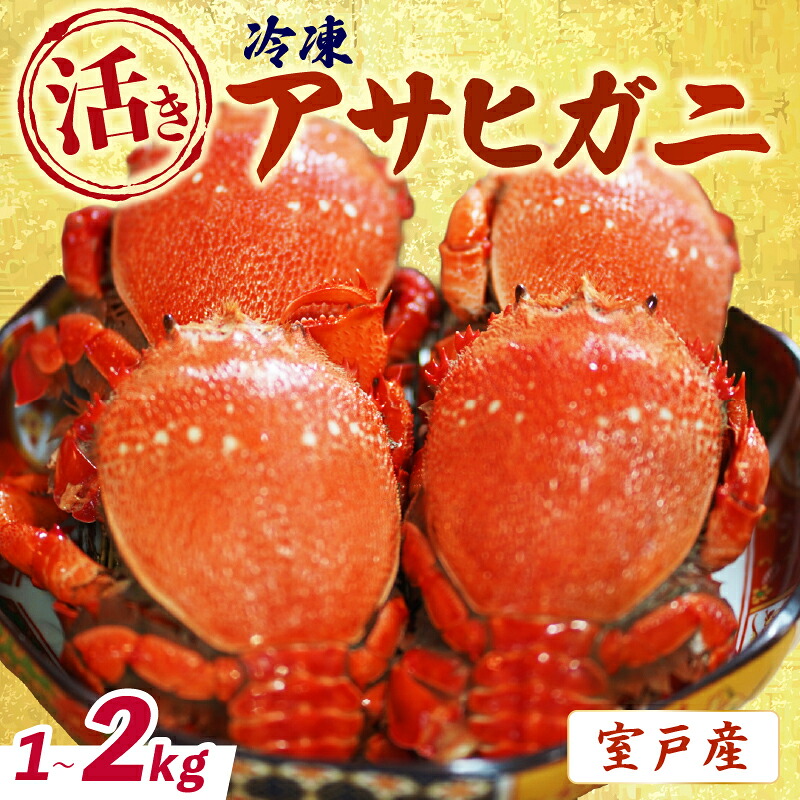 【 活冷凍 アサヒガニ 約２㎏ 】 アサヒガニ あさひがに 朝日蟹 蟹 かに カニ 活冷凍 活き 生 姿 冷凍 セット 詰め合わせ パスタ 味噌汁 焼ガニ 魚介類 海鮮 海の幸 産地直送 産直 旬