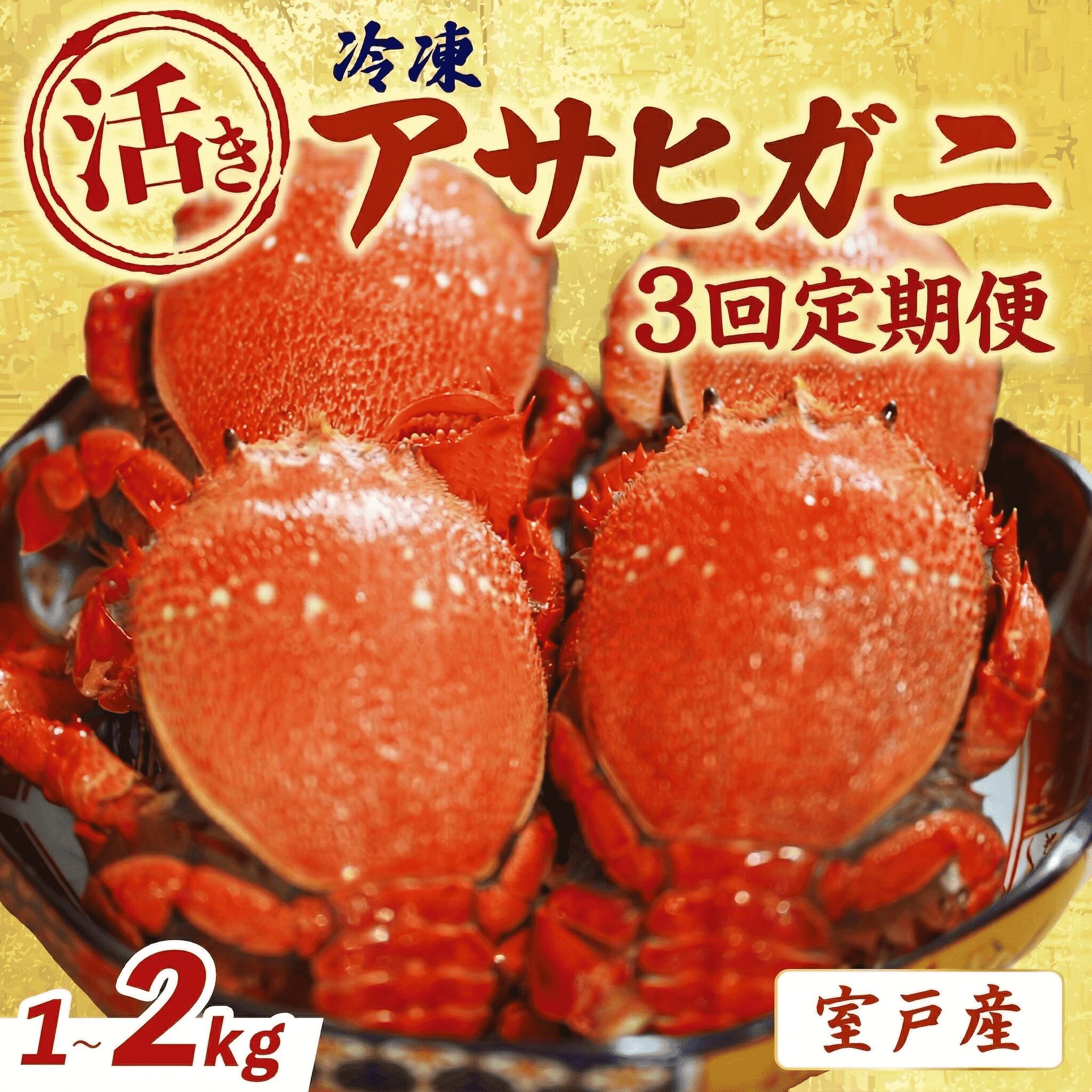 【3回 定期便 活冷凍 アサヒガニ 約1㎏ 】 アサヒガニ あさひがに 朝日蟹 蟹 かに カニ 活冷凍 活き 生 姿 冷凍 セット 詰め合わせ パスタ 味噌汁 焼ガニ 魚介類 海鮮 海の幸 産地直送