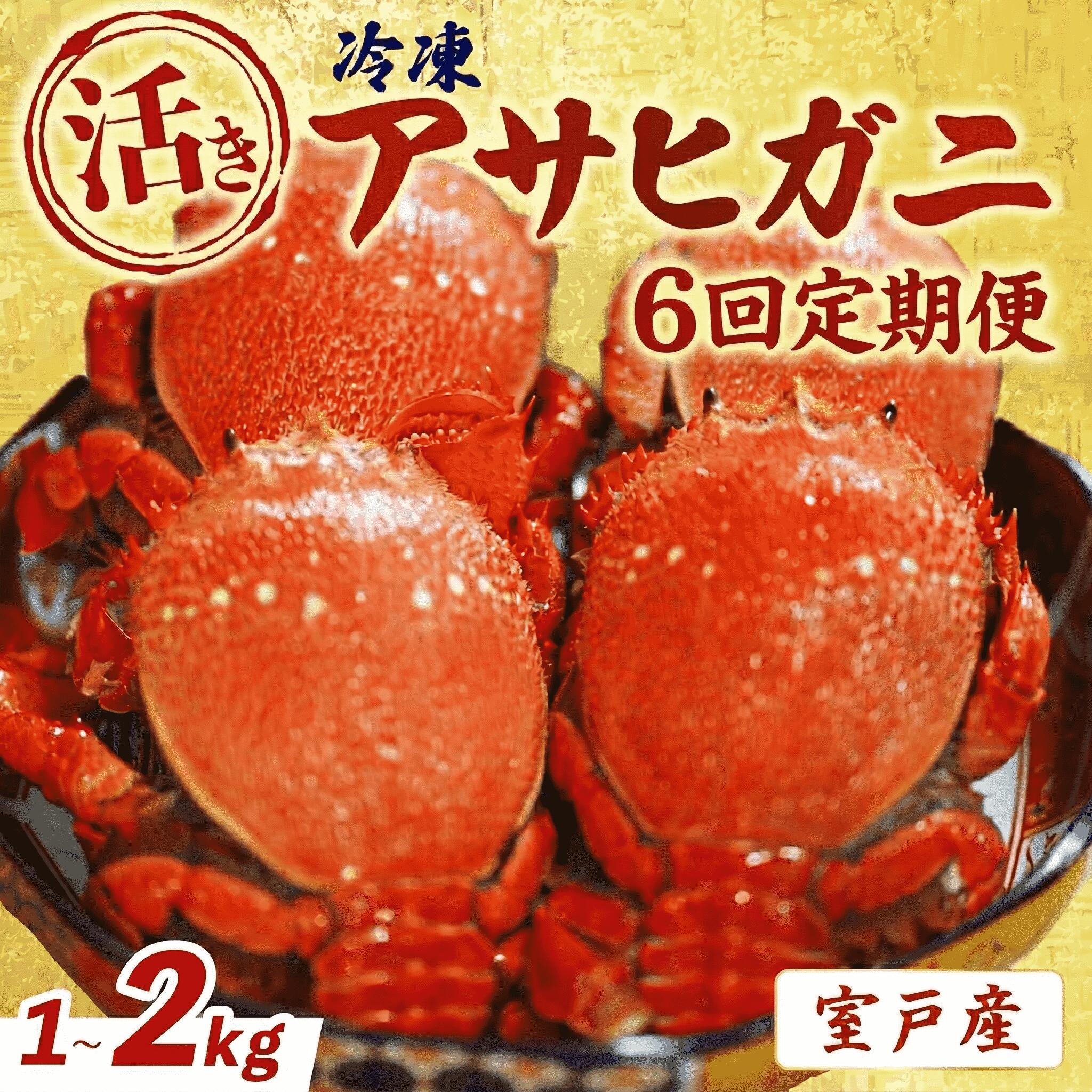 【6回 定期便 活冷凍 アサヒガニ 約1㎏ 】 アサヒガニ あさひがに 朝日蟹 蟹 かに カニ 活冷凍 活き 生 姿 冷凍 セット 詰め合わせ パスタ 味噌汁 焼ガニ 魚介類 海鮮 海の幸 産地直送