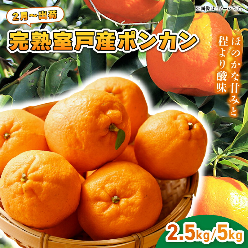 【先行予約】 ポンカン 越年完熟 室戸産 2.5kg 5kg みかん ぽんかん ポンカン 家庭用 訳あり わけあり 土佐くだもの畑 高知 ミカン 蜜柑 mikan 果物 くだもの フルーツ 柑橘