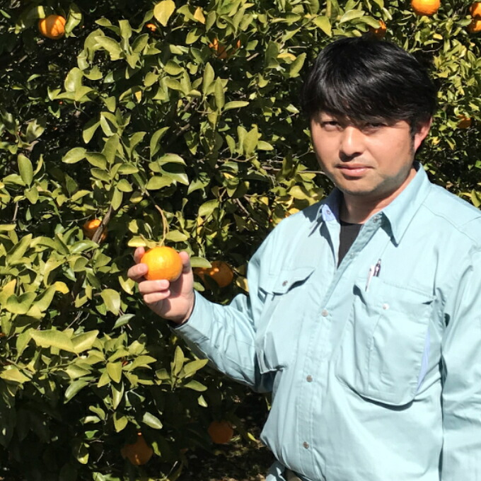 【先行予約】 ポンカン 越年完熟 室戸産 2.5kg 5kg みかん ぽんかん ポンカン 家庭用 訳あり わけあり 土佐くだもの畑 高知 ミカン 蜜柑 mikan 果物 くだもの フルーツ 柑橘
