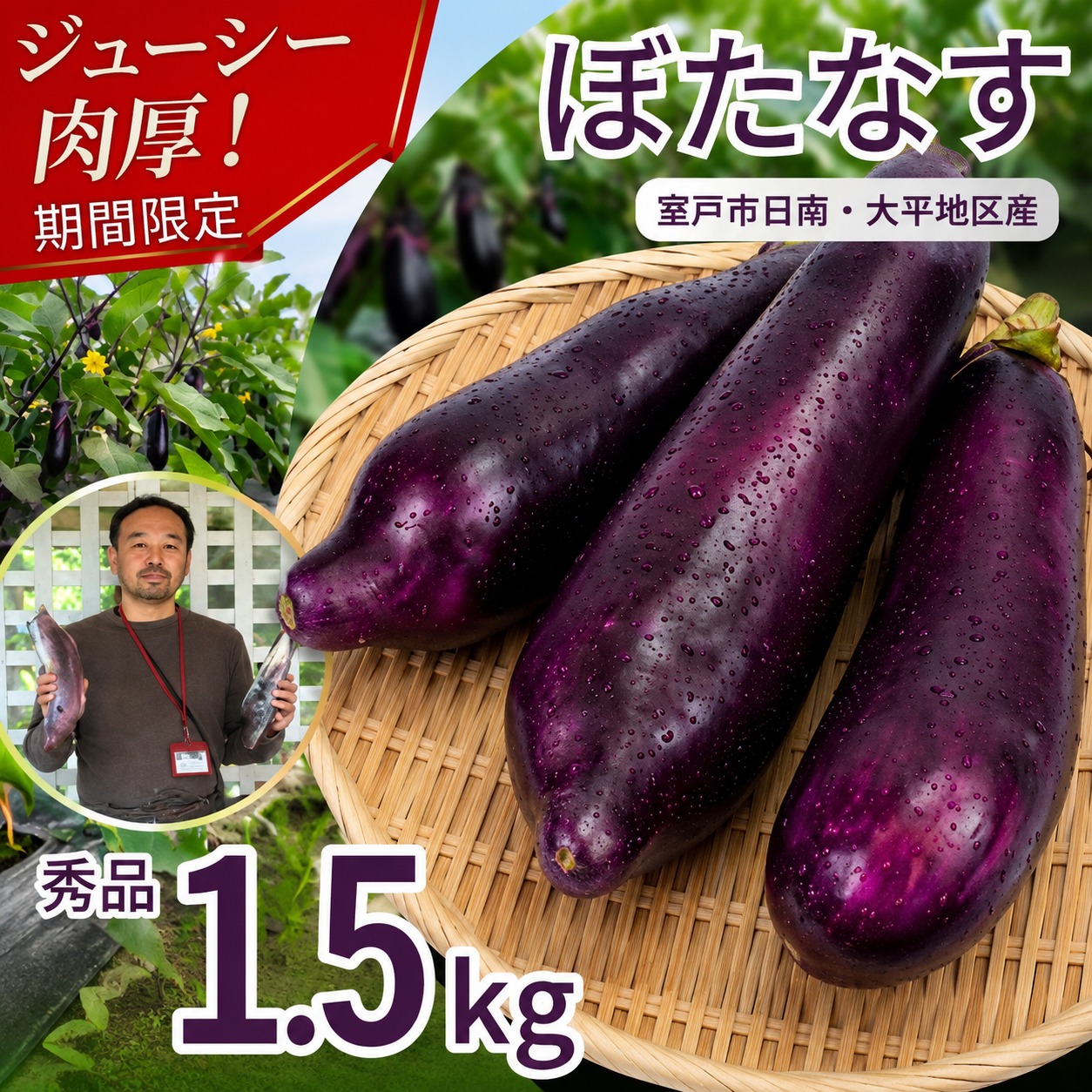 【伝統野菜 ぼたなす 秀品 1.5㎏ 】 なす ナス ボタナス 焼きナス ナスレシピ 野菜 とろける食感 クリーミー 人気 お取り寄せ 野菜セット 甘い 産地直送 新鮮 野菜 希少 吉良川町 日南