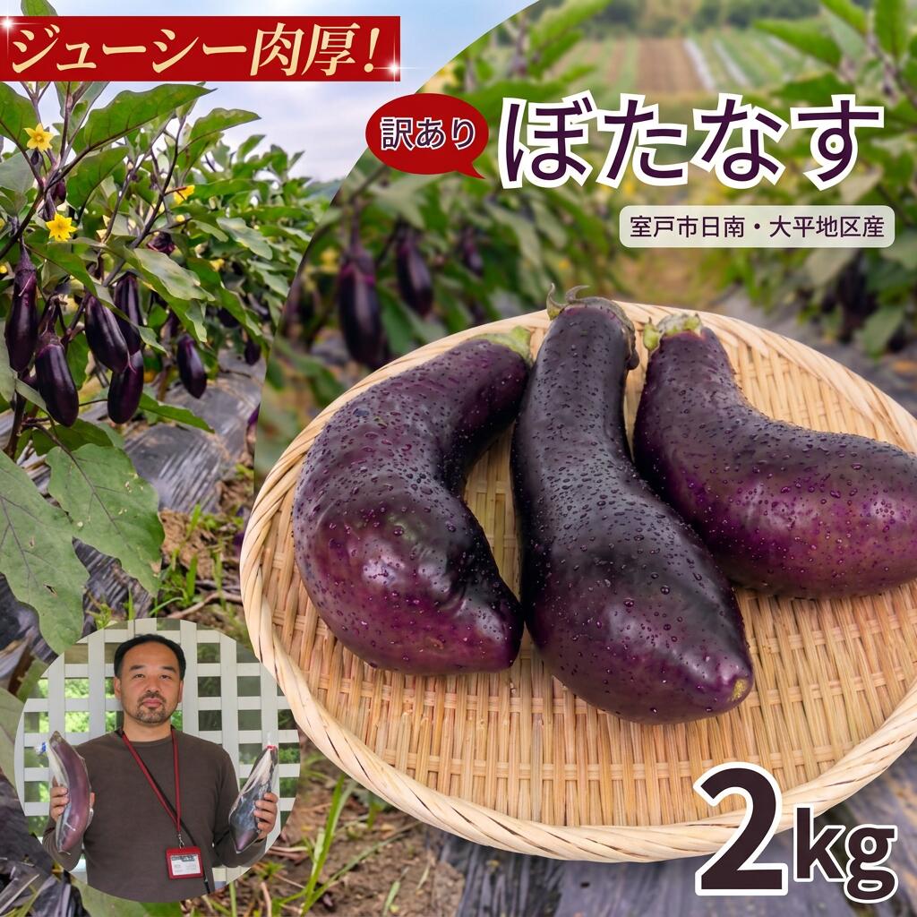 訳あり品 【 伝統野菜 ぼたなす 訳あり 2㎏ 】 なす ナス ボタナス 焼きナス ナスレシピ 野菜 とろける食感 クリーミー 人気 お取り寄せ 詰合せ 野菜セット 甘い 産地直送 新鮮 野菜 希少