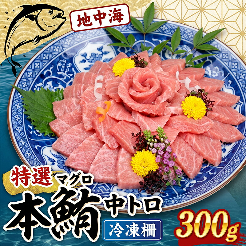 地中海産 本マグロ 中トロ 約300g～900g まぐろ トロ クロマグロ 黒マグロ 刺身 刺し身 さしみ 冷凍 マルタ産 養殖 刺し身 鮮魚 本鮪 まぐろ赤身 鮪 魚介 小分け 訳あり 高知県 室戸市 tk206