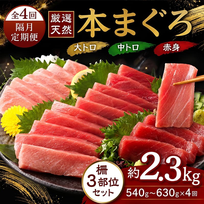 厳選天然本まぐろ 大トロ 中トロ 赤身 3部位 540g以上