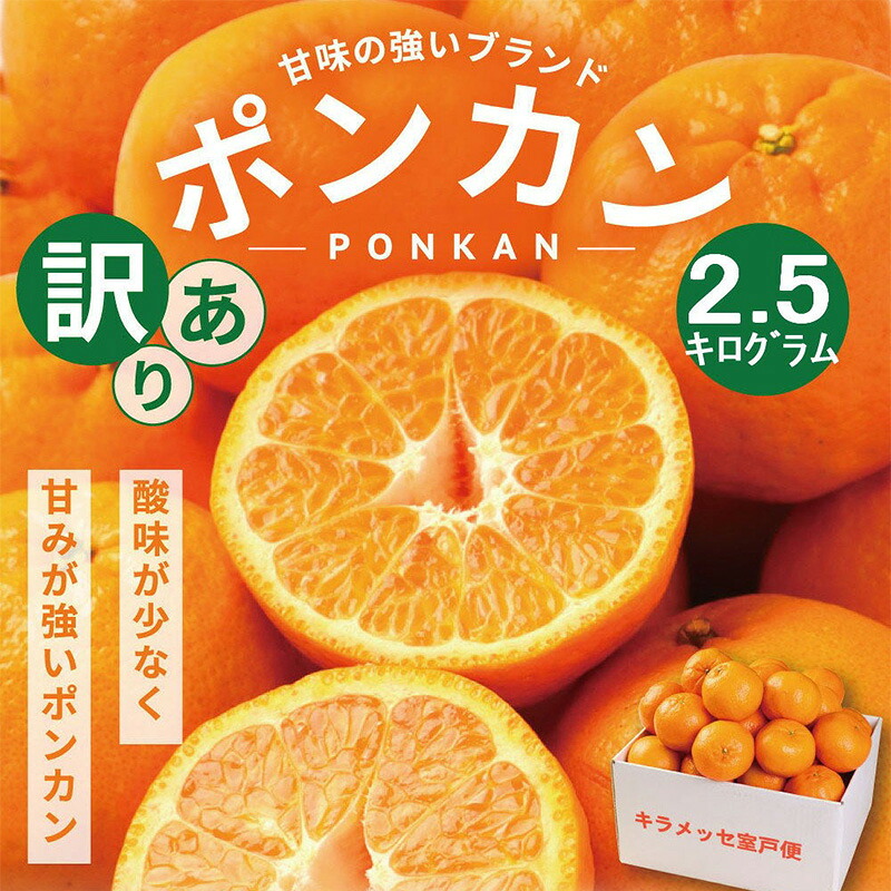 【数量限定】 訳あり 室戸産 ポンカン 2.5kg | ぽんかん 訳あり 家庭用 5000円 おすすめ ランキング 道の駅 産地直送 果物 フルーツ ふるさと納税みかん 柑橘 くだもの ミカン
