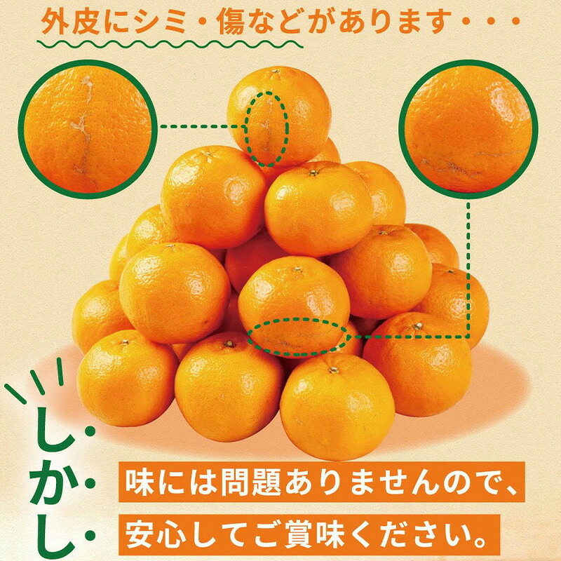 【数量限定】 訳あり 室戸産 ポンカン 2.5kg | ぽんかん 訳あり 家庭用 5000円 おすすめ ランキング 道の駅 産地直送 果物 フルーツ ふるさと納税みかん 柑橘 くだもの ミカン