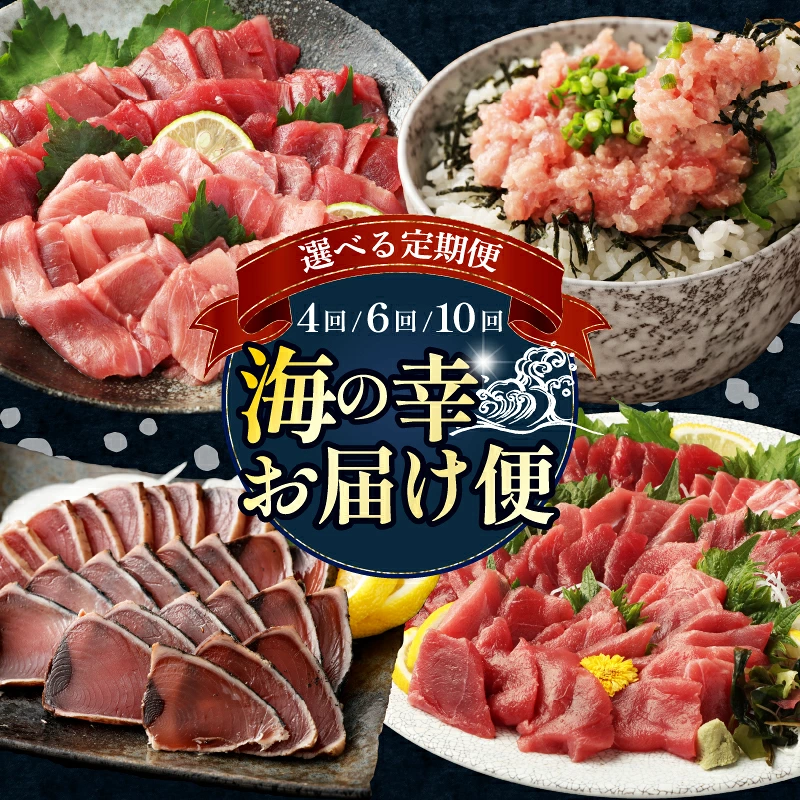 【 全4回定期便 】 タカシン水産厳選 高知の海鮮セット まぐろ カツオのたたき ネギトロ 中トロ 刺身 海鮮 鰹 冷凍 魚 海産物 魚介類 高知県 まぐろたたき 鮪 藁焼き 高知県 室戸市 tk111