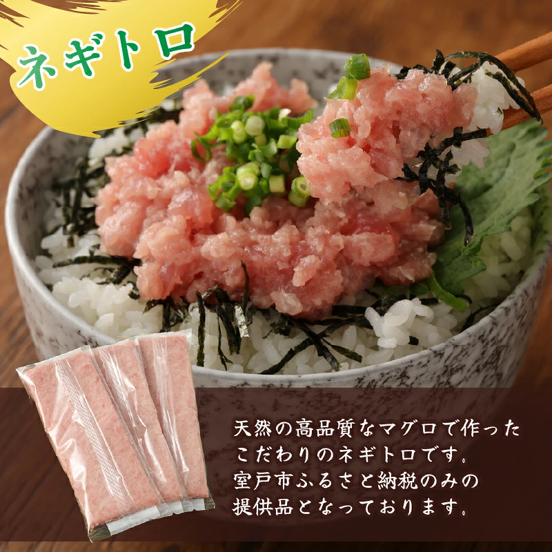 【 全4回定期便 】 タカシン水産厳選 高知の海鮮セット まぐろ カツオのたたき ネギトロ 中トロ 刺身 海鮮 鰹 冷凍 魚 海産物 魚介類 高知県 まぐろたたき 鮪 藁焼き 高知県 室戸市 tk111