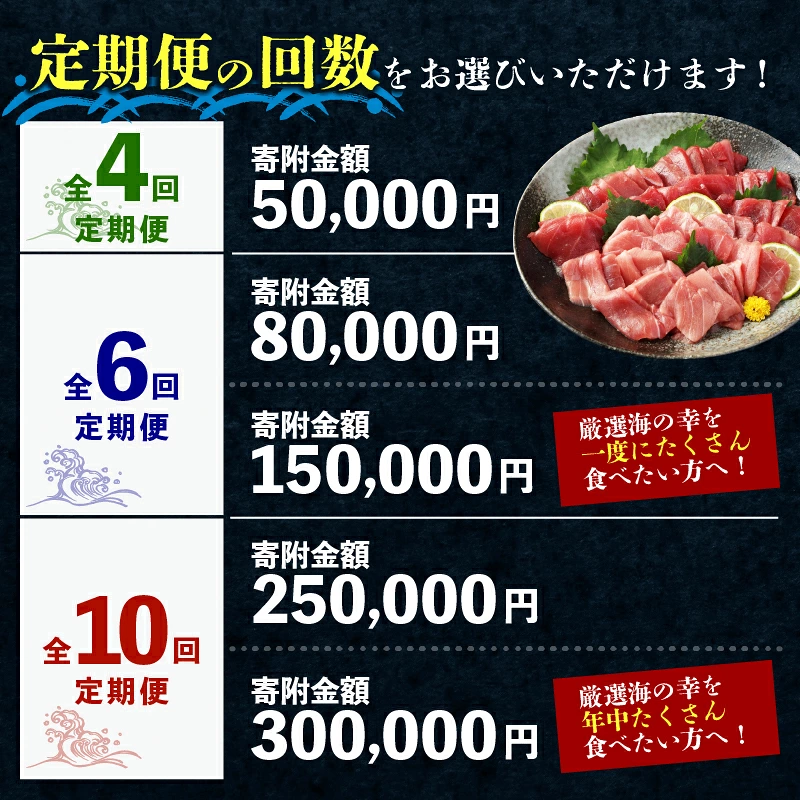 【 全4回定期便 】 タカシン水産厳選 高知の海鮮セット まぐろ カツオのたたき ネギトロ 中トロ 刺身 海鮮 鰹 冷凍 魚 海産物 魚介類 高知県 まぐろたたき 鮪 藁焼き 高知県 室戸市 tk111