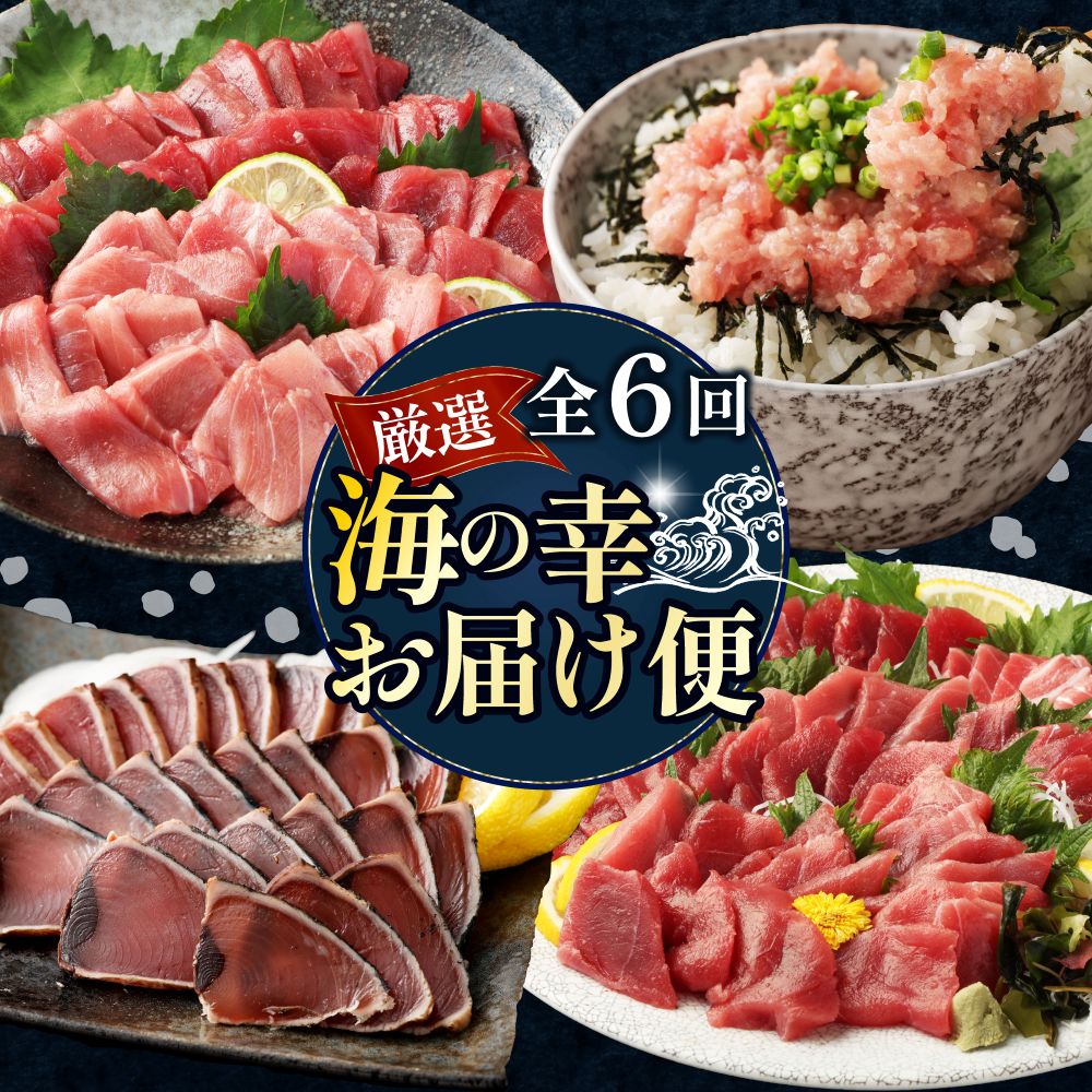【 全6回定期便 】タカシン水産厳選 高知の海鮮セット まぐろ カツオのたたき ネギトロ 中トロ 刺身 海鮮 鰹 冷凍 魚 海産物 魚介類 高知県 まぐろたたき 鮪 藁焼き 高知県 室戸市 tk109