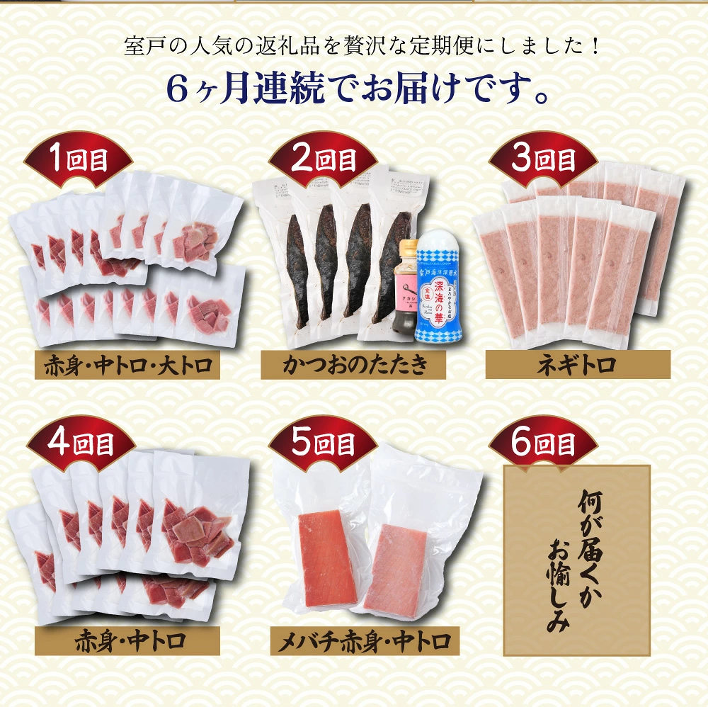 【 全6回定期便 】タカシン水産厳選 高知の海鮮セット まぐろ カツオのたたき ネギトロ 中トロ 刺身 海鮮 鰹 冷凍 魚 海産物 魚介類 高知県 まぐろたたき 鮪 藁焼き 高知県 室戸市 tk109