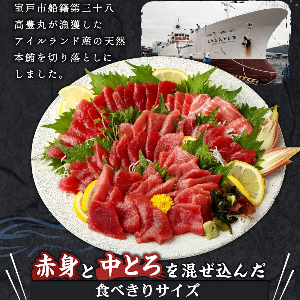 【定期便 / 3ヶ月連続】 天然本マグロ (赤身・中とろ) 切り落とし 合計1.2㎏ (100g×4パック×3回) マグロ 刺身 刺し身 魚 惣菜 海鮮丼 魚介類 食べきりサイズ 小分け 高知県 室戸市 tk072