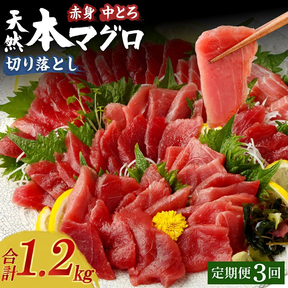 天然本マグロ 赤身 中とろ 切り落とし 合計1.2kg