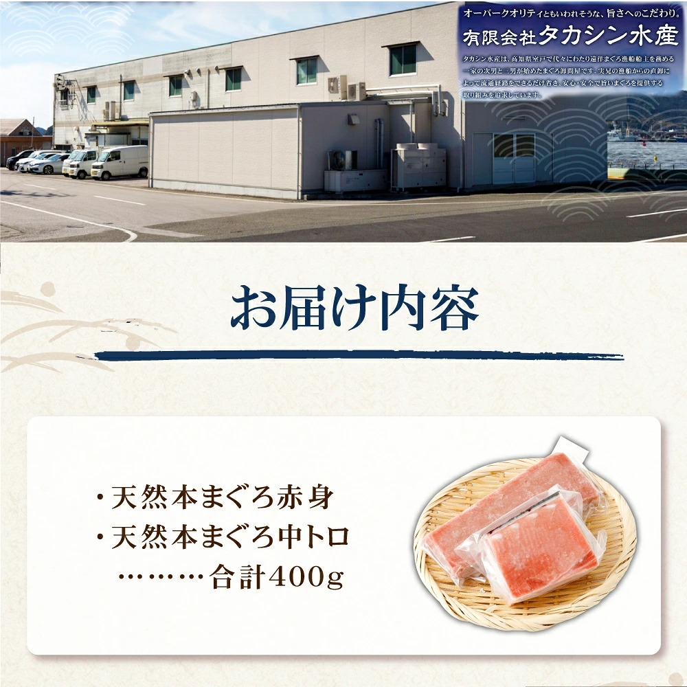まぐろの王様！ 天然本まぐろ 味わいセット ４００ｇ サク 柵 スライス 切落し セット 天然 天然まぐろ 天然マグロ まぐろ 中トロ 赤身 鮪 刺身 お刺身 食べ比べ 高知 室戸 冷凍 高知県 室戸市 tk074