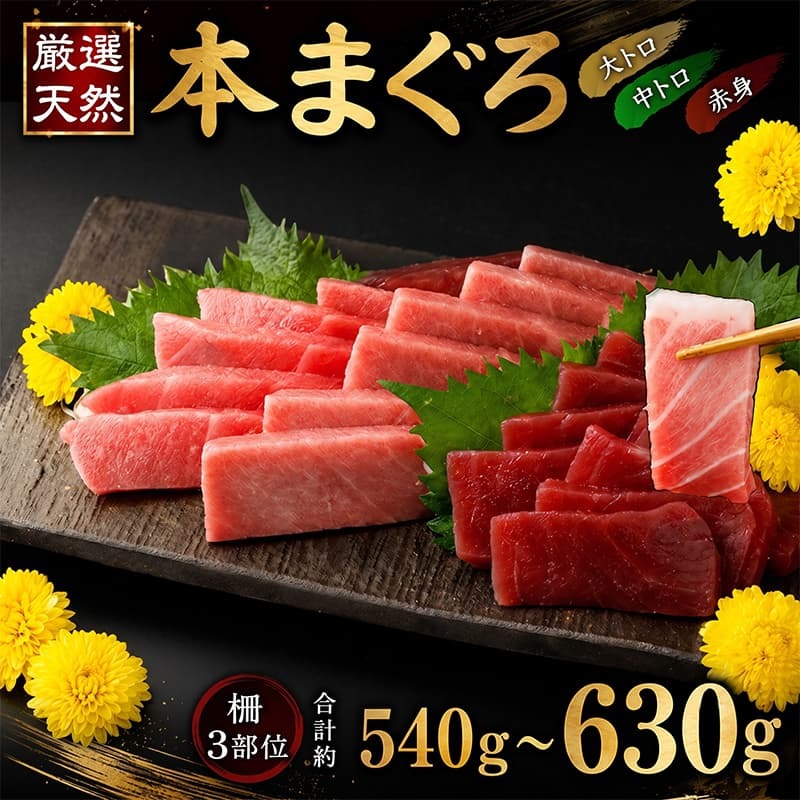 大トロ 中トロ 赤身 540g以上